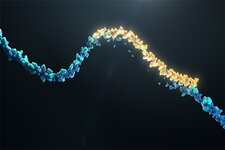 RNA Nedir?