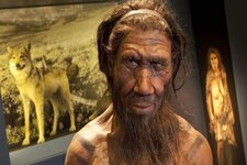 neandertal-nedir-629472e94433d.jpg