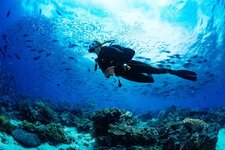 scuba-diving-ile-ilgili-bilgiler-625a8fdb76b03.jpg