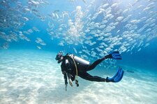 scuba-diving-nedir-62593fa2e3682.jpg