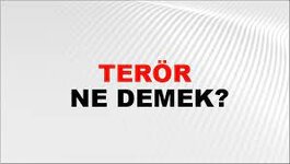 Terör Nedir?